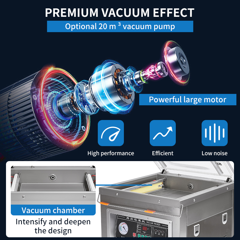 Dz-400 Professional  Desktop V - Meal Prep Vacuum Seal 评论和价格