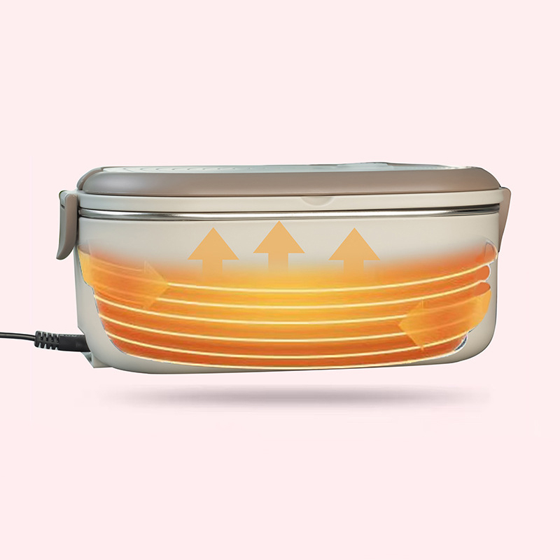 220V 110V Electric Lunch Box S - Meal Prep Tupperware 评论和价格