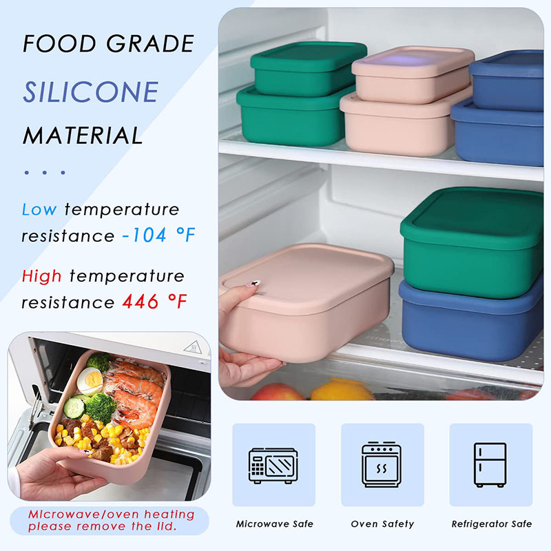 Leak-Resistant Bento Lunch Box - Meal Prep Tupperware 评论和价格